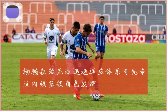 杨瀚森若无法迅速适应体系可先专注内线蓝领角色发挥
