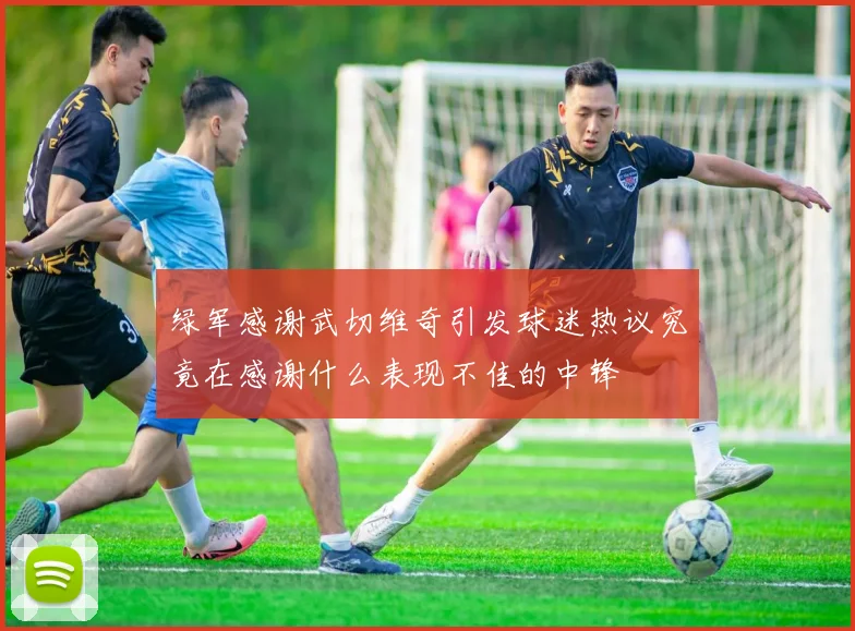 绿军感谢武切维奇引发球迷热议究竟在感谢什么表现不佳的中锋
